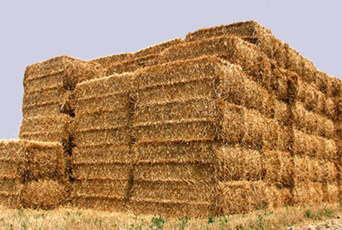 dikey-balya-presi-yatay-balya-presi