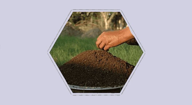 Kompost Makinelerinin Geri Dönüşümde Önemi