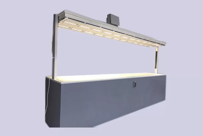 asansörlü-kuyumcu-vitrin-kasası